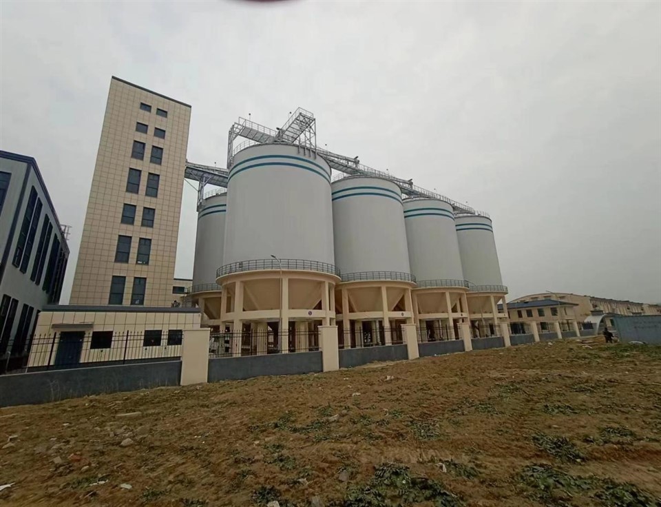 Paddy Insulated Hopper Steel Silos